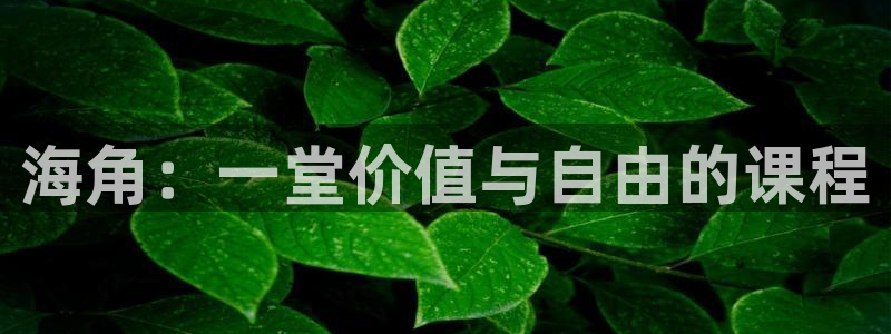 海角社区是不是翻墙：海角：一堂价值与自由的课程