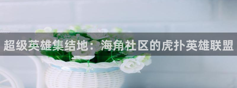 海角社区haijiao海角：超级英雄集结地：海角社区的虎扑英雄联盟