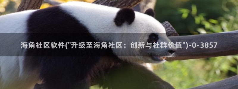 海角社区成人网